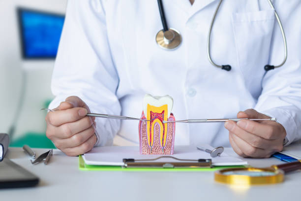 Best Cracked Tooth Emergency Dentist  in Toledo, IL